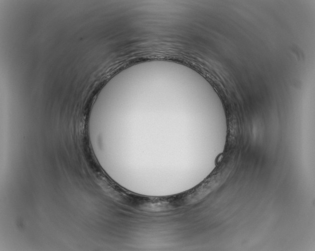 X0000113030278200908271102