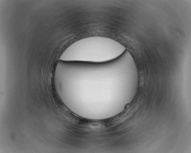 X0000113030279200908271102