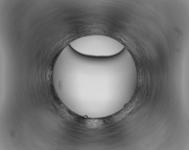 X0000113030281200908271102