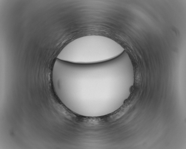 X0000113030282200908271102