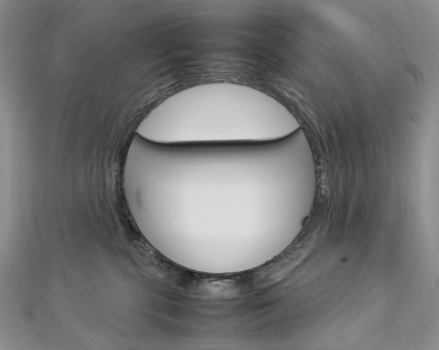 X0000113030283200908271102