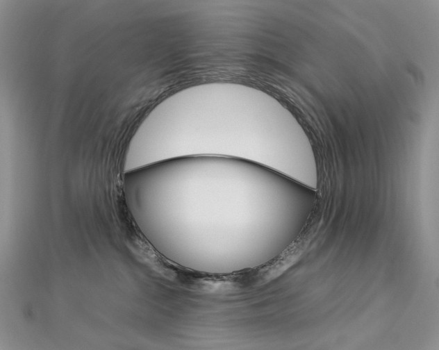 X0000113030284200908271102