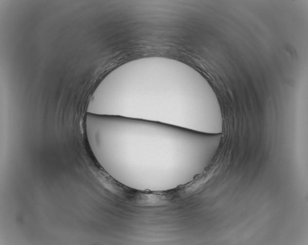 X0000113030286200908271102