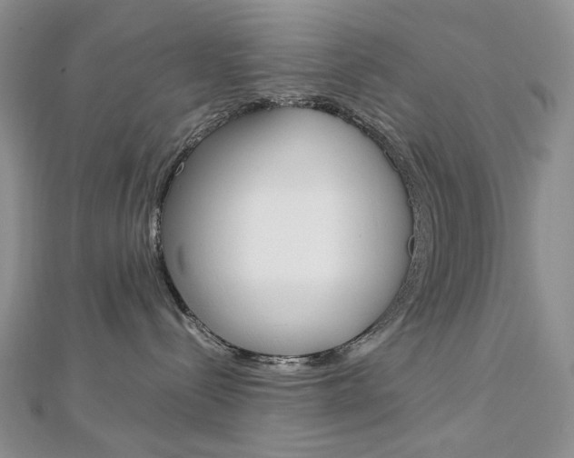 X0000113030288200908271102