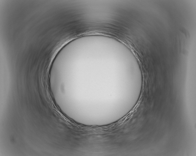 X0000113030289200908271101