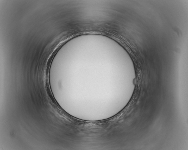 X0000113030290200908271101