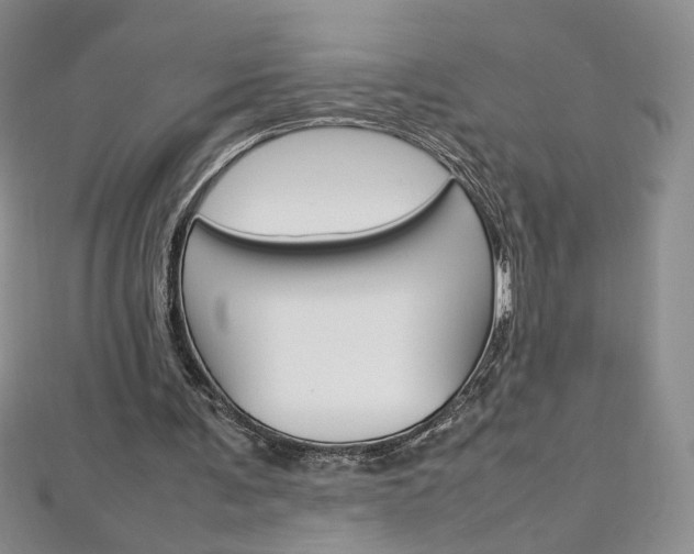 X0000113030291200908271101