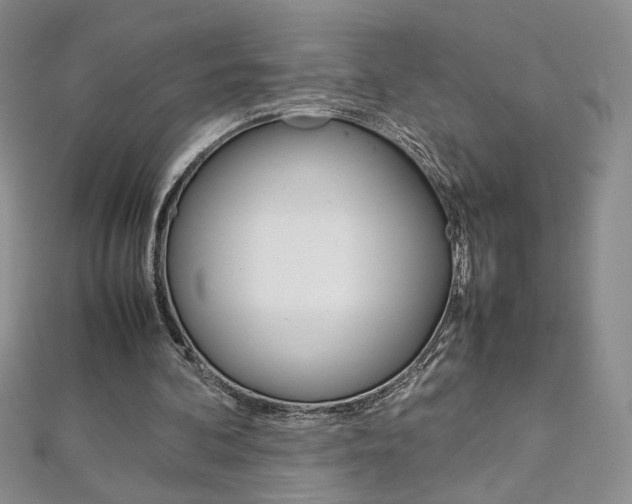 X0000113030292200908271101