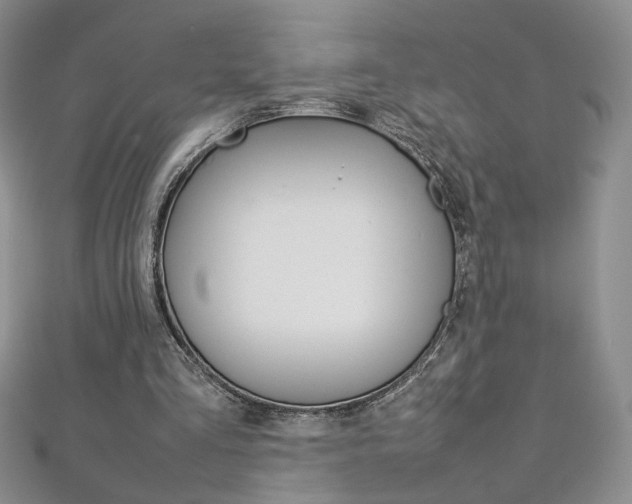 X0000113030293200908271101