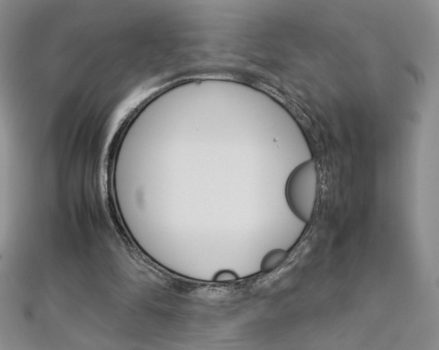 X0000113030294200908271101