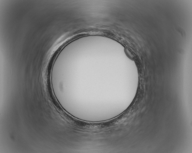 X0000113030295200908271101