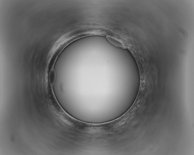 X0000113030296200908271101