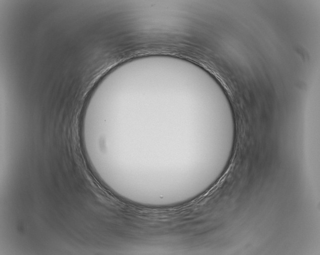 X0000113030297200908271101