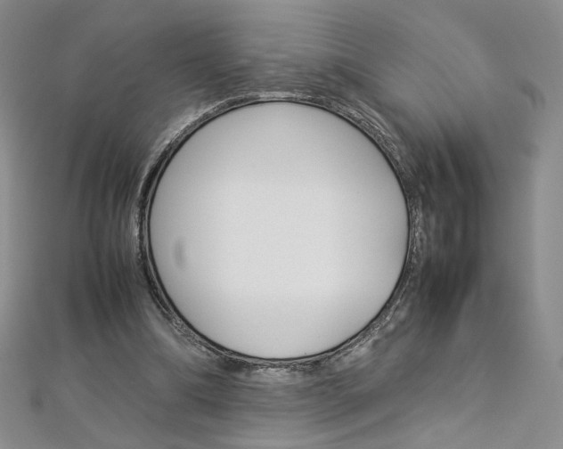 X0000113030298200908271101