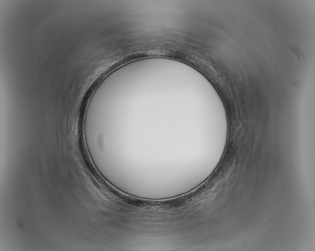 X0000113030299200908271101