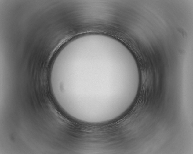 X0000113030300200908271101