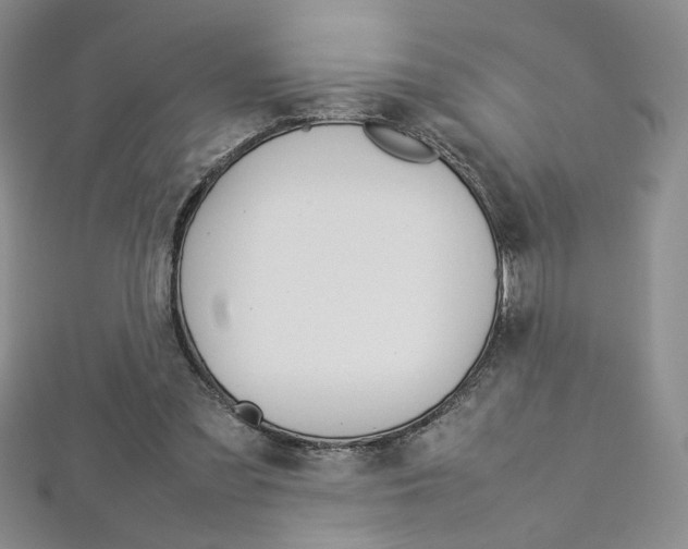 X0000113030301200908271101