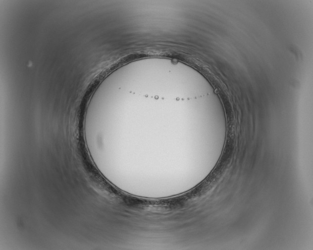 X0000113030303200908271101