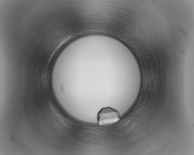 X0000113030304200908271101