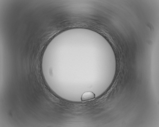 X0000113030305200908271101