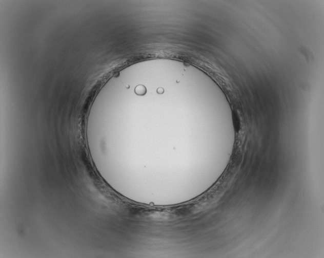 X0000113030306200908271101