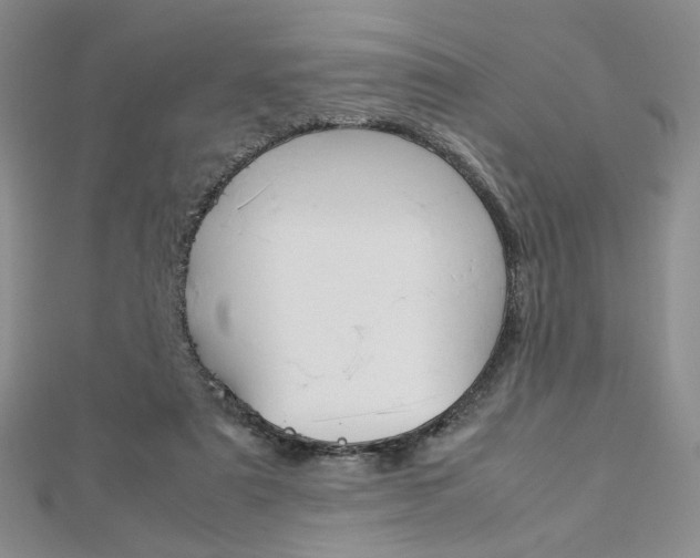 X0000113030307200908271101