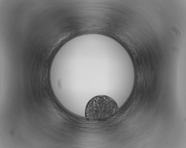 X0000113030308200908271101