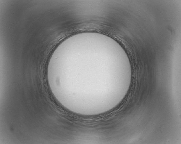 X0000113030309200908271101