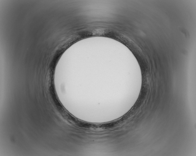 X0000113030311200908271101