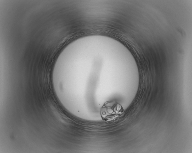 X0000113030312200908271101