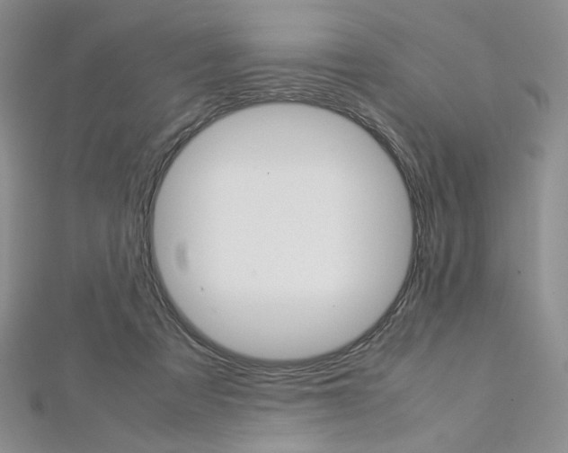 X0000113030313200908271101