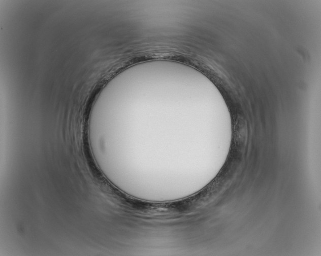 X0000113030315200908271101