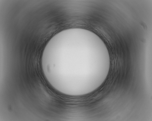 X0000113030316200908271101