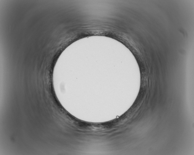 X0000113030317200908271101