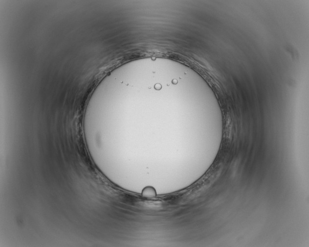 X0000113030318200908271101