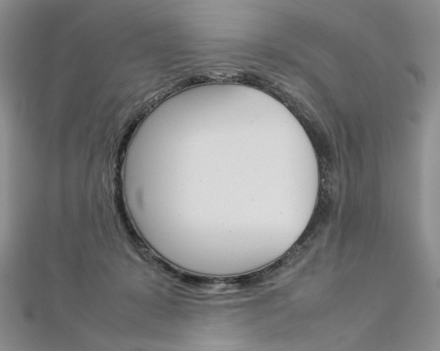 X0000113030319200908271101