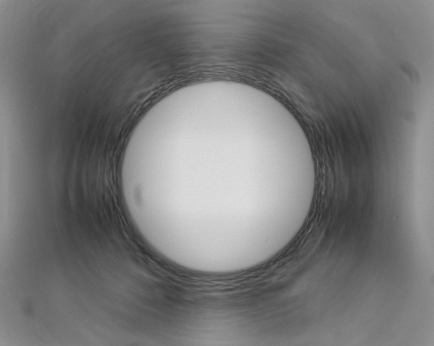 X0000113030320200908271101