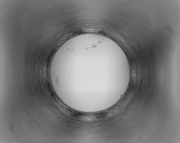 X0000113030322200908271101