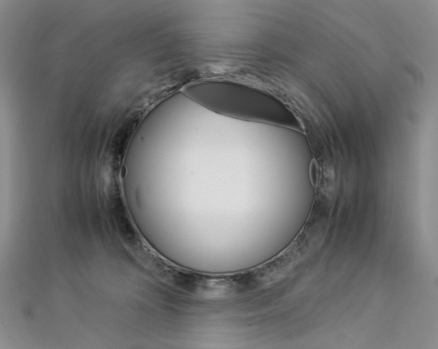 X0000113030324200908271101