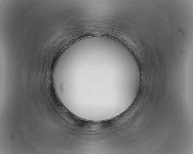 X0000113030325200908271101