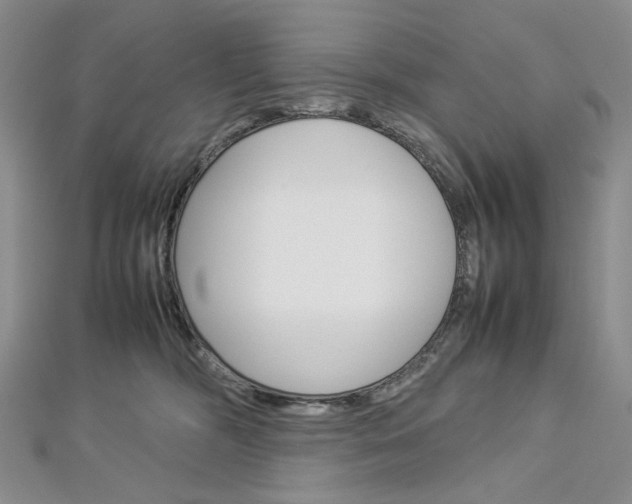 X0000113030326200908271101