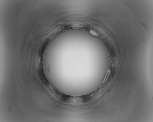 X0000113030327200908271101