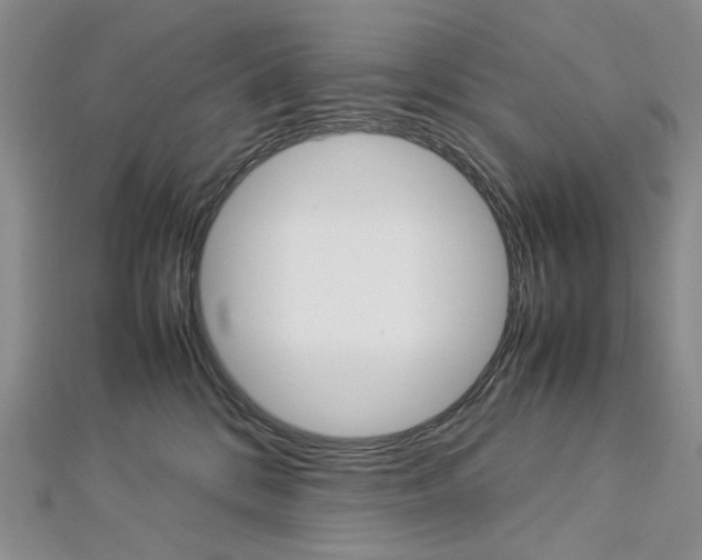 X0000113030328200908271101