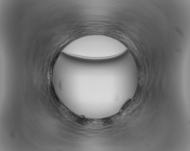 X0000113030329200908271101