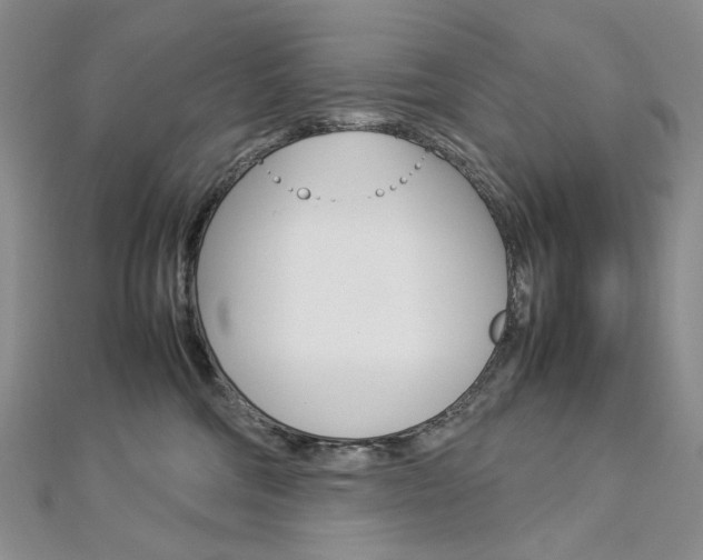 X0000113030330200908271101