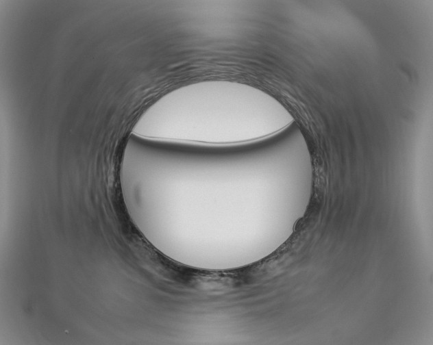 X0000113030331200908271101