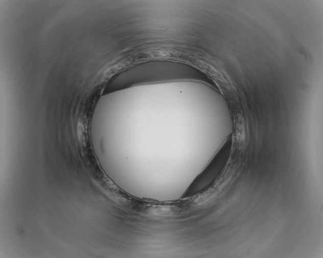 X0000113030332200908271100