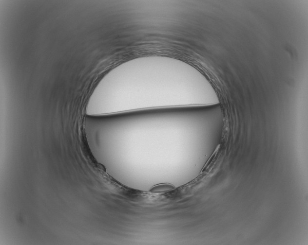 X0000113030333200908271100