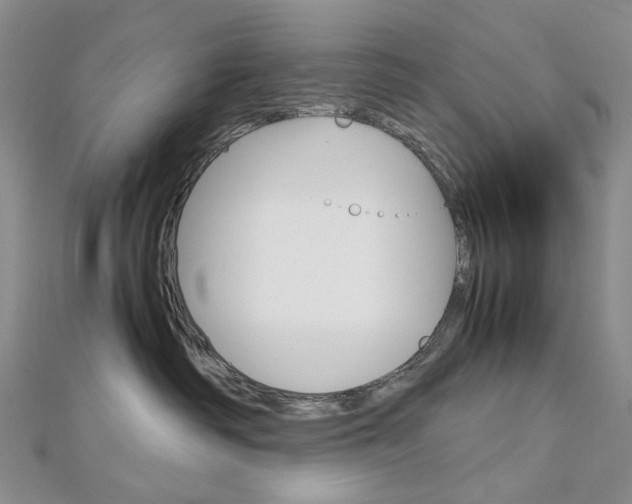 X0000113030334200908271100