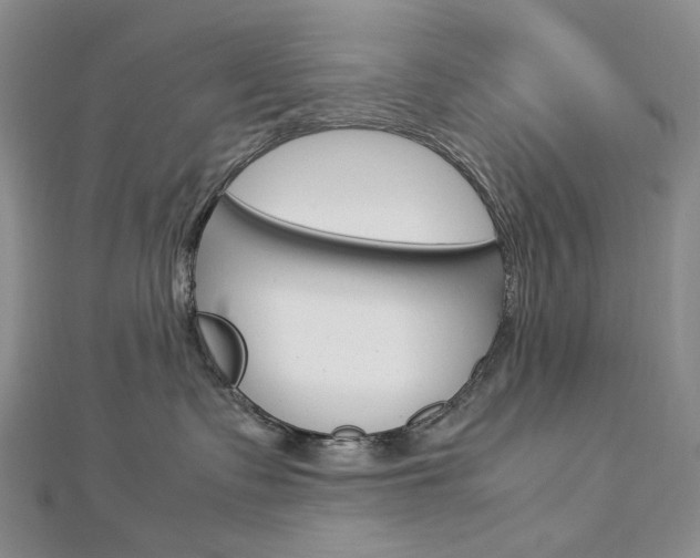 X0000113030335200908271100